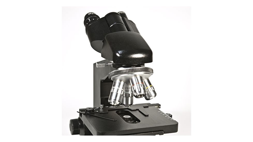 Levenhuk 850B Binocular Microscope, Black, Medium 24611