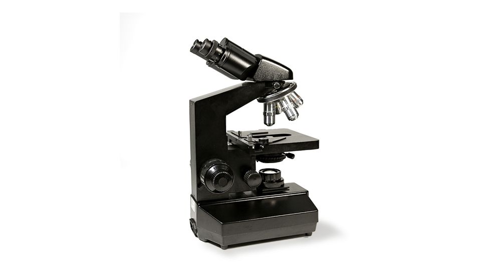Levenhuk 850B Binocular Microscope, Black, Medium 24611