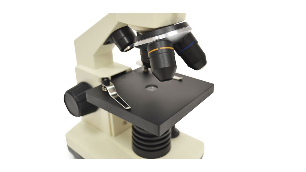 Levenhuk D2L NG Digital Microscope, White, Medium 65704