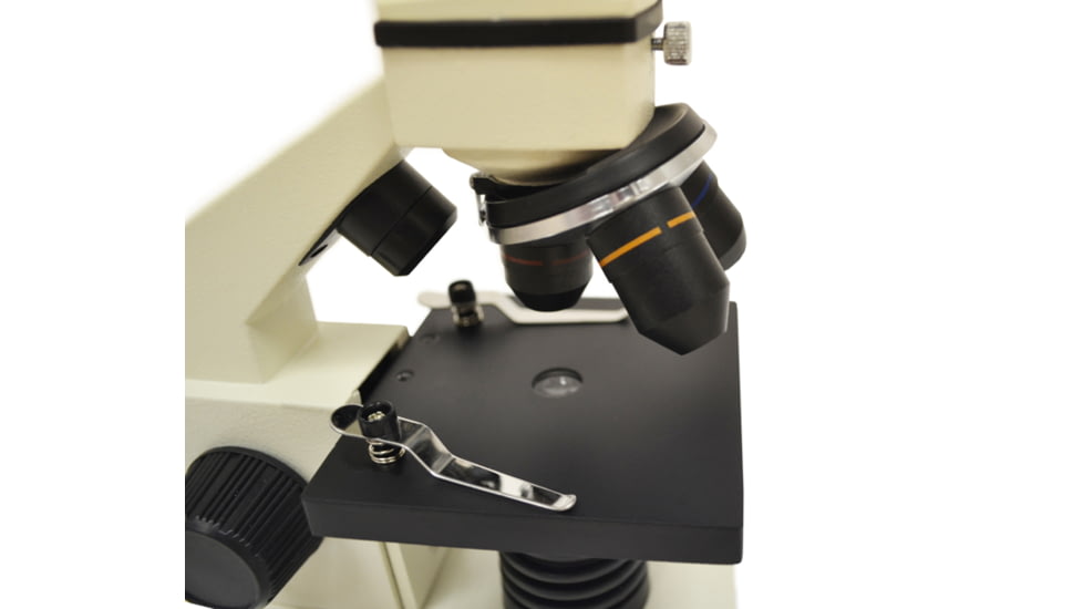 Levenhuk D2L NG Digital Microscope, White, Medium 65704