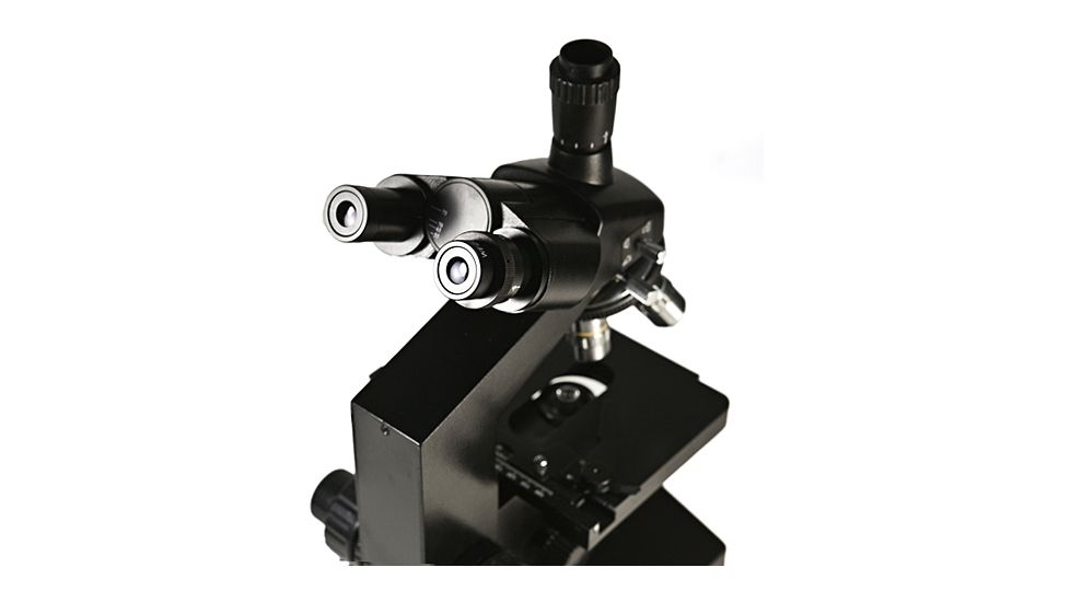Levenhuk D870T Digital Trinocular Microscope, Black, Medium 40030