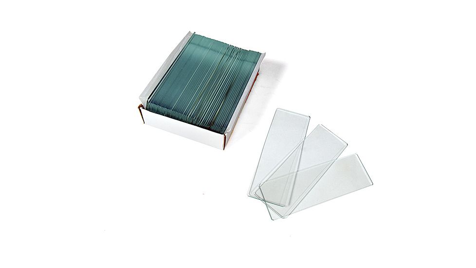 Levenhuk G50 Blank Slides, 50 Pieces, Small 16281