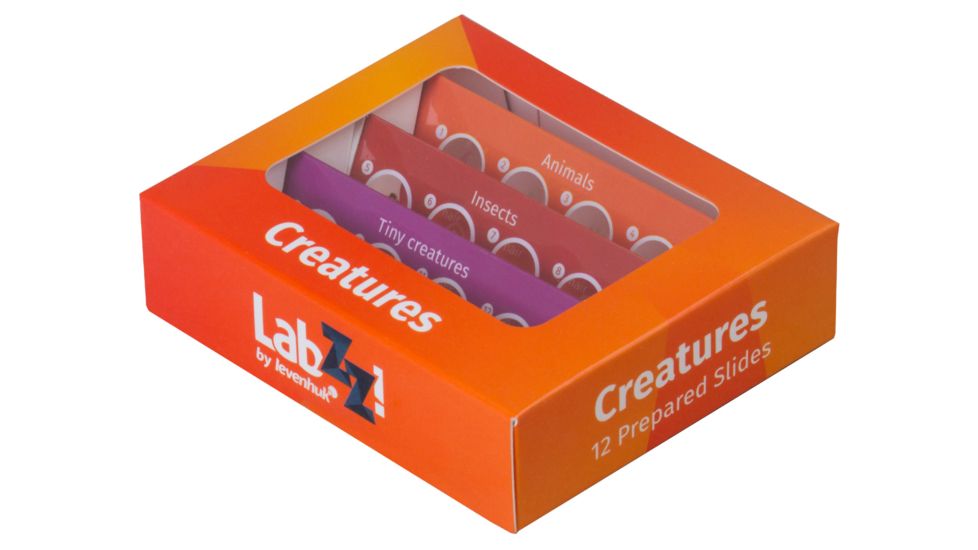 Levenhuk LabZZ C12 Creatures Prepared Slides Set, Red, Small, NSN N 72868