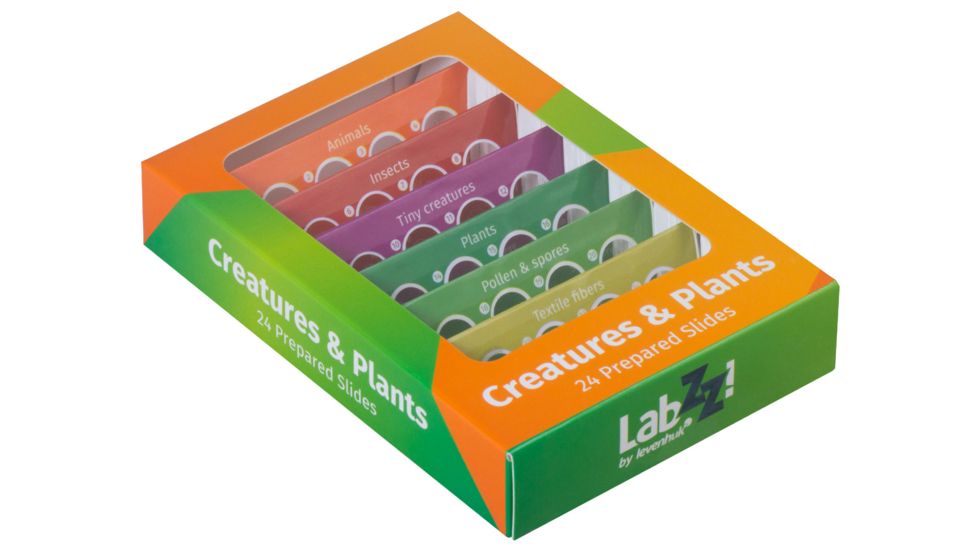 Levenhuk LabZZ CP24 Creatures &amp; Plants Prepared Slides Set, Green/Orange, Small, NSN N 72870