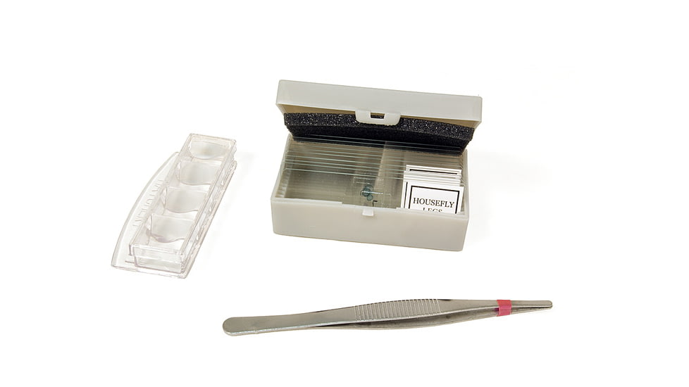 Levenhuk NG Microscope- Blue, Medium 66822