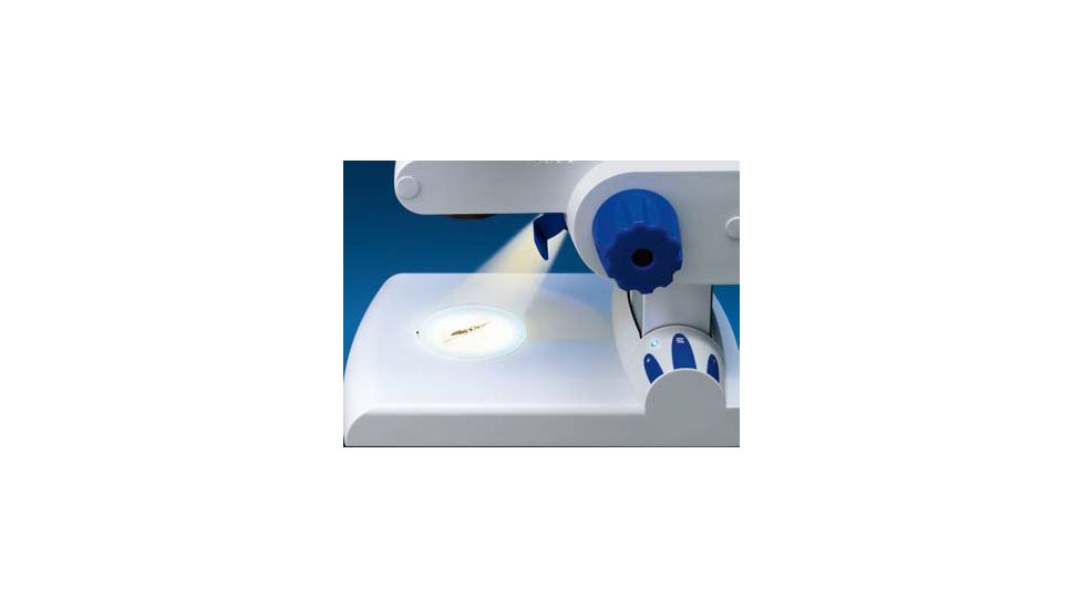 Carl Zeiss Microscopy Stand C LED 435420-0000-000